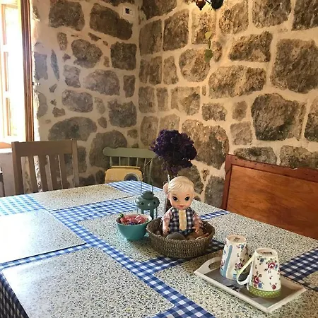 Klaic - Kids Friendly Gruda